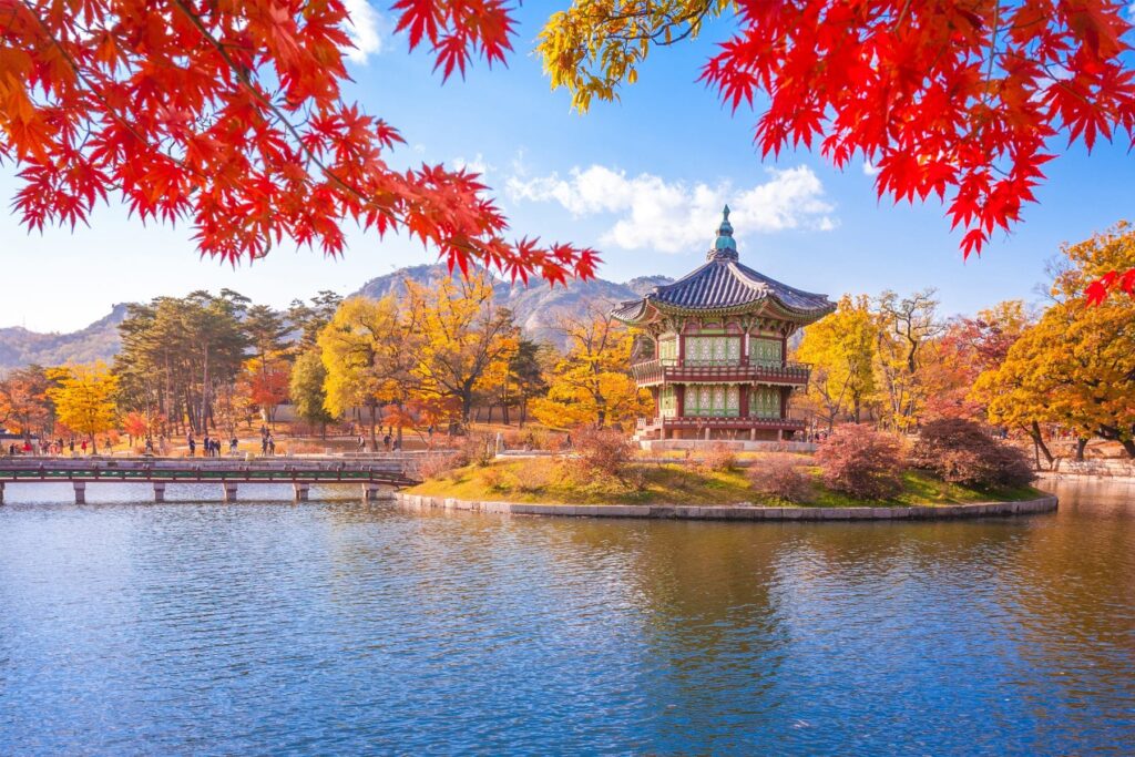Why South Korea is a Traveller's Paradise
